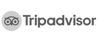 Trip-advisor-logo